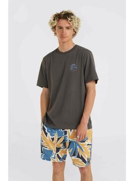 Camiseta Oneill Og Sun  Hombre