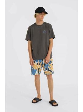 Camiseta Oneill Og Sun  Hombre