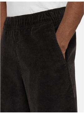 Pantalon Corto Dickies Chase City Short Hombre