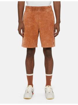 Pantalon Corto Dickies Chase City Short Hombre