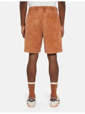 Pantalon Corto Dickies Chase City Short Hombre