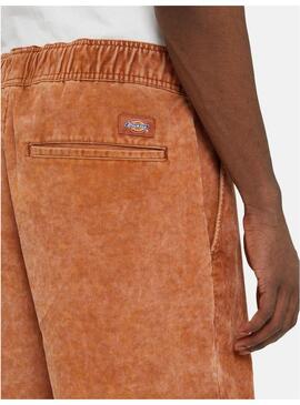 Pantalon Corto Dickies Chase City Short Hombre