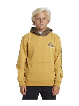 Sudadera Quicksilver Omni Logo Niño