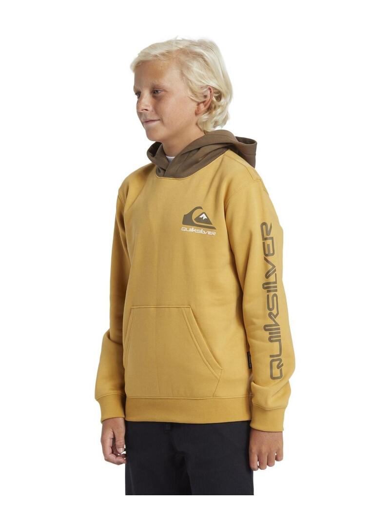 Sudadera Quicksilver Omni Logo Niño