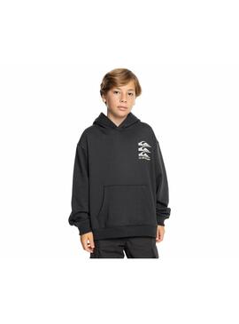 Sudadera Quicksilver Screen Niño