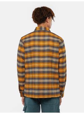 Camisa Dickies Forest Check Hombre