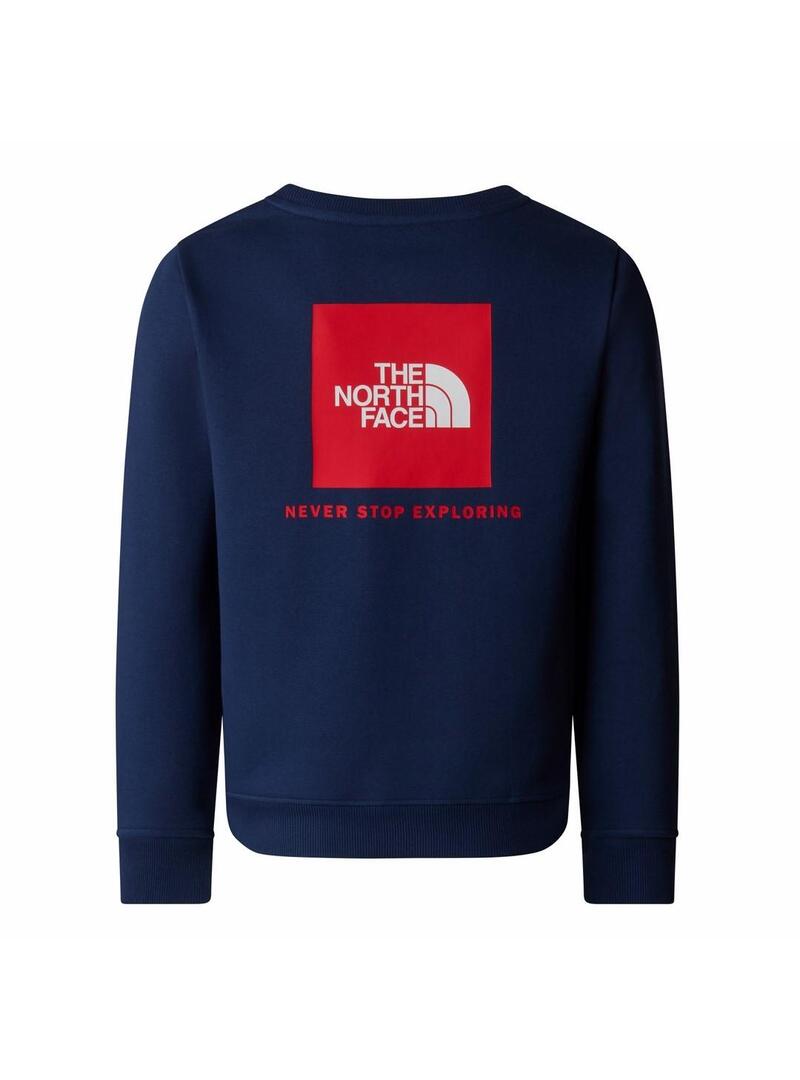 Sudadera The North Face Teen Box Nse Regular Niño