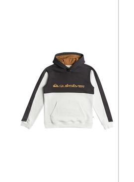 Sudadera Quicksilver Knowledge Area Niño