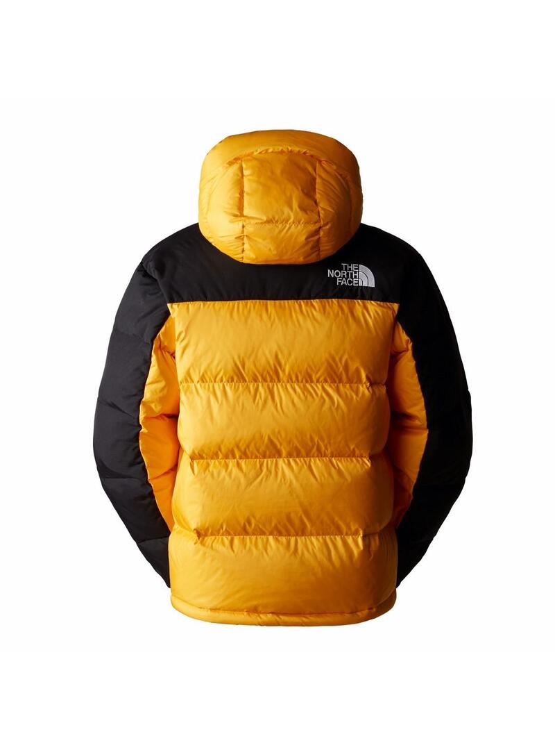 Abrigo The North Face Hmlyn Down Hombre