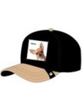 Gorra Goorin The Amigo Unisex