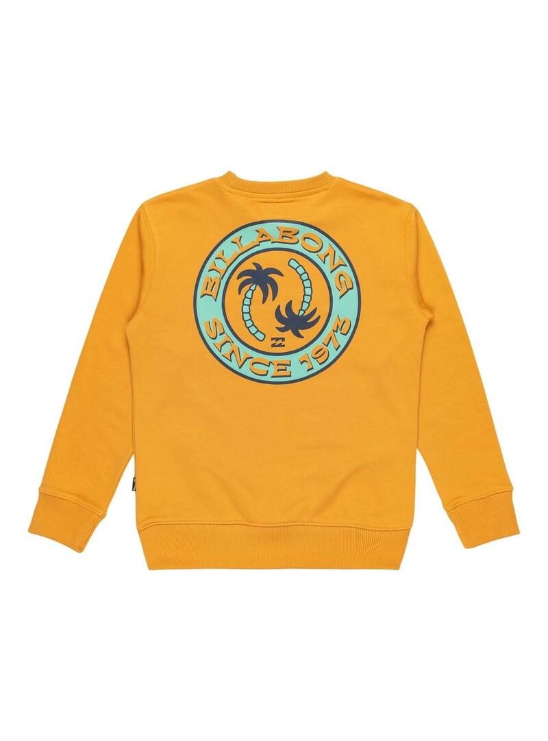 Sudadera Billabong Foundation Niño