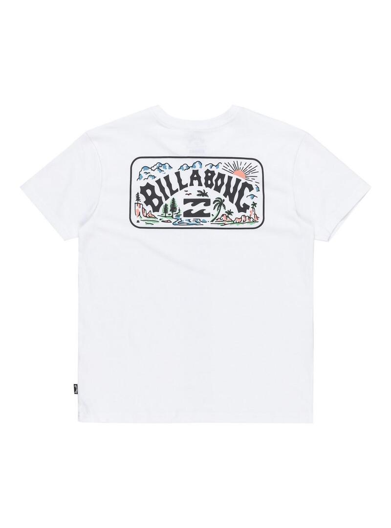 Camiseta Billabong Scenic Arch Niño