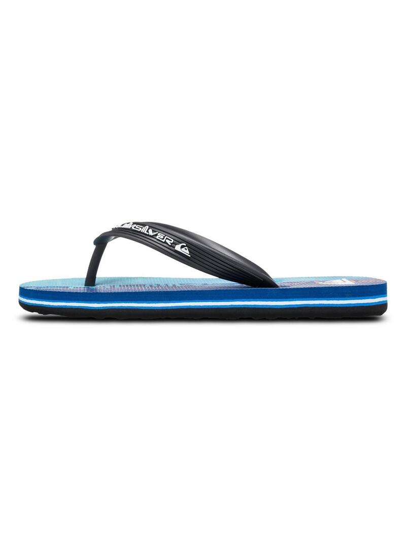 Chanclas Quicksilver Molokai Art 25 Niño