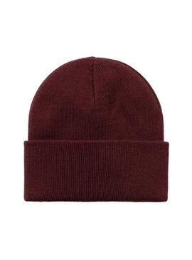 Chase Beanie