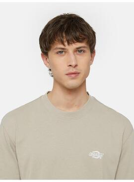 Camiseta Dickies Summerdale Hombre