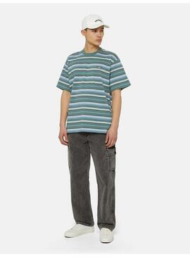 Camiseta Dickies Glade Spring Tee Hombre