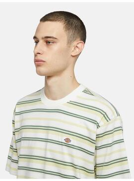 Camiseta Dickies Glade Spring Tee Hombre