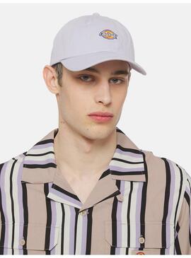 Gorra Dickies Hardwick Unisex