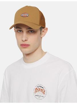 Gorra Dickies Hanston Unisex