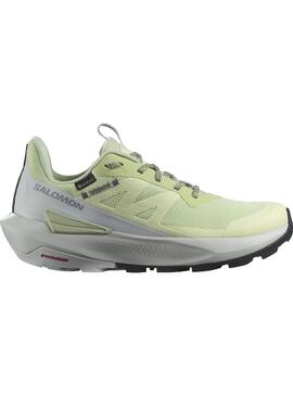 Zapatillas Salomon Elixir Activ Gtx Mujer