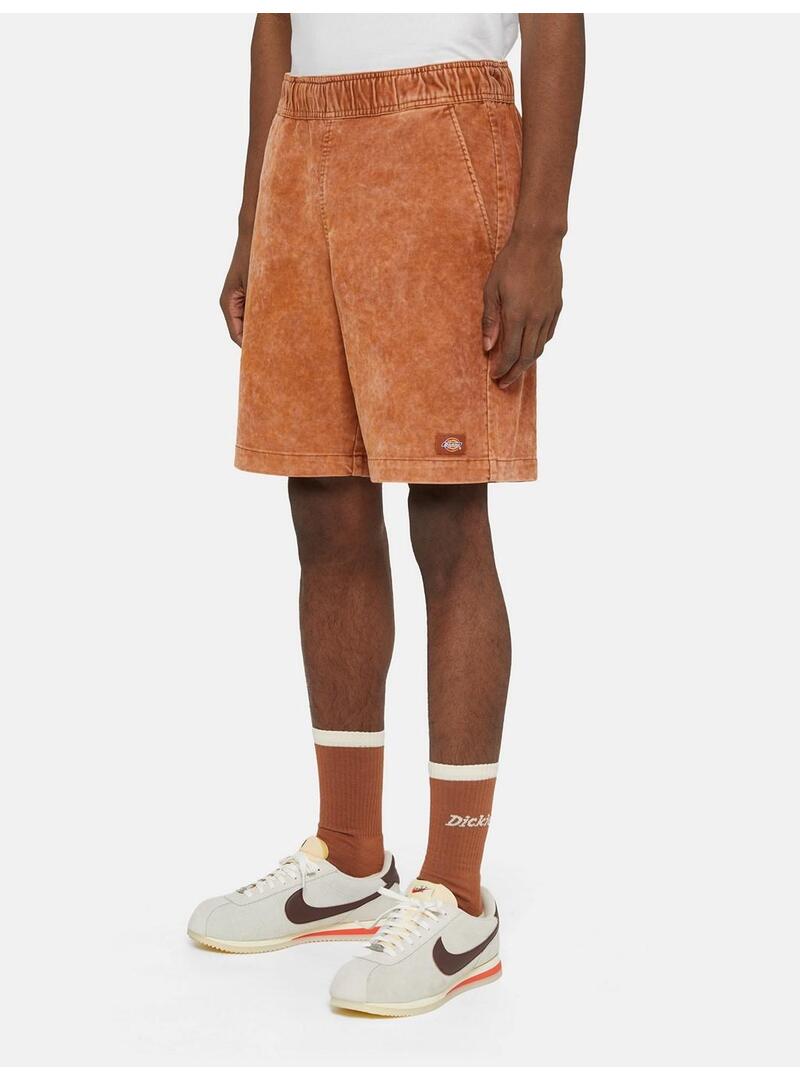 Pantalon Corto Dickies Chase City Short Hombre