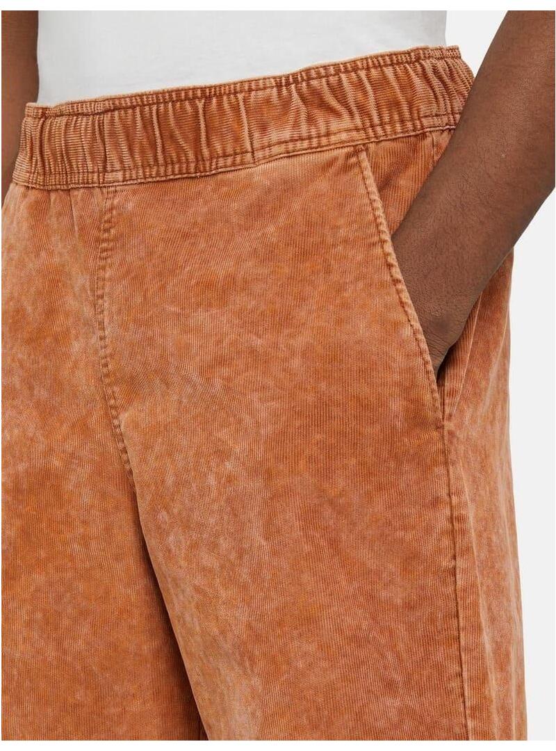 Pantalon Corto Dickies Chase City Short Hombre