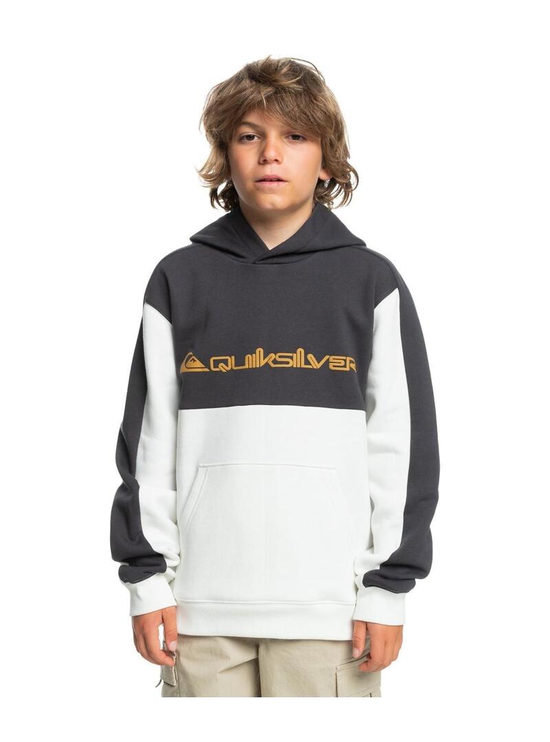 Sudadera Quicksilver Knowledge Area Niño