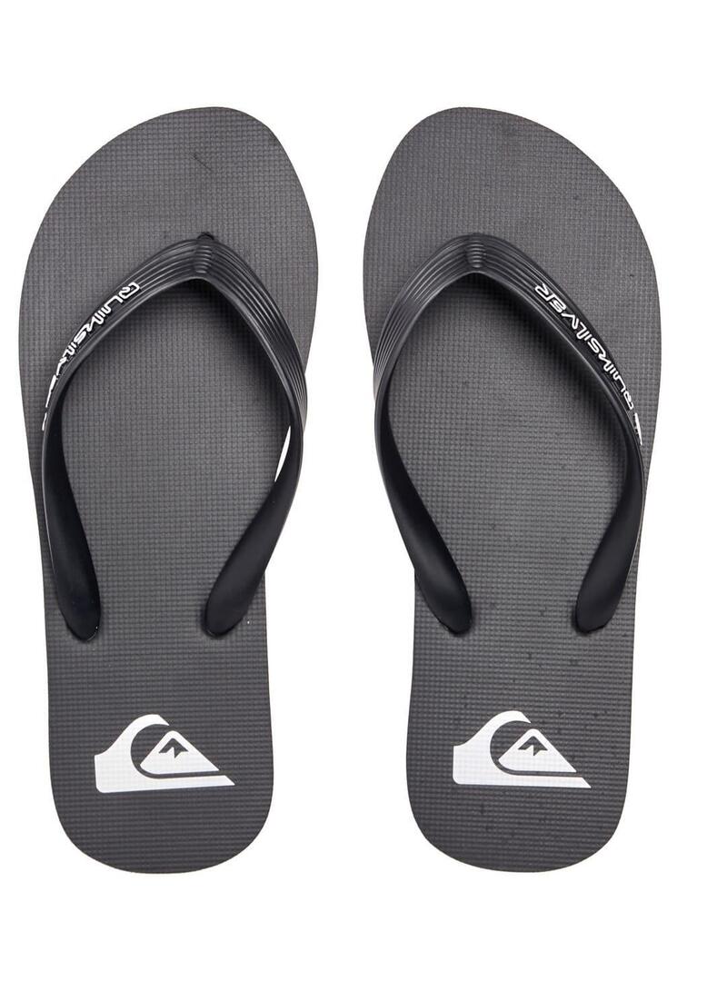Chanclas Quicksilver Molokai Core Hombre