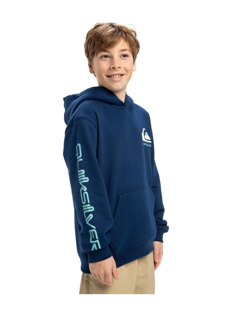 Sudadera Quicksilver Omni Logo Niño