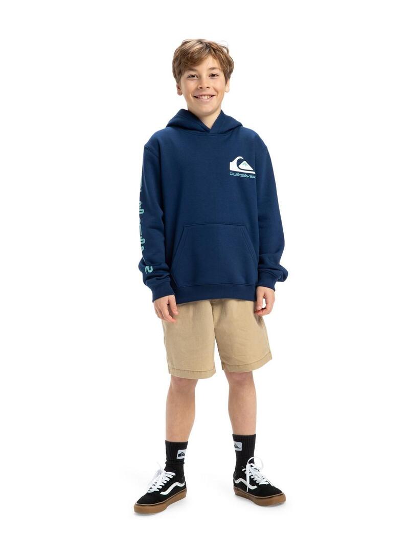 Sudadera Quicksilver Omni Logo Niño