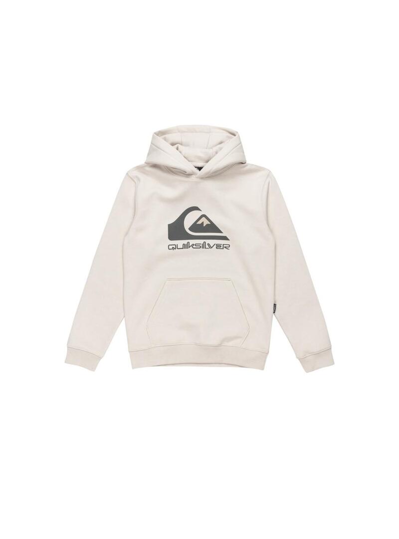 Sudadera Quicksilver Big Logo Niño
