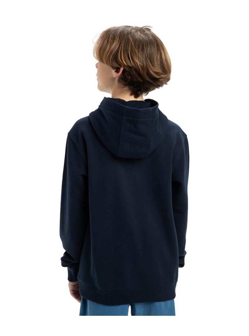 Sudadera Quicksilver Graphic Hoodie You Niño