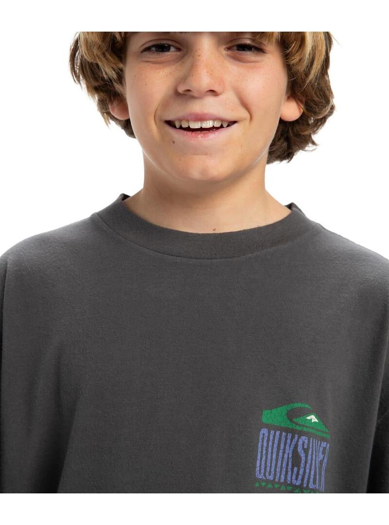 Camiseta Quicksilver World Force Niño