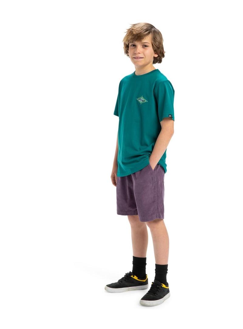 Camiseta Quicksilver Ev Beach Blast Niño