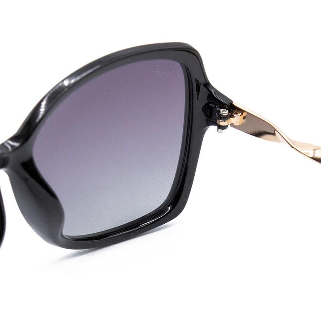 Gafas Sol Will Turtle Looney Silvester Unisex