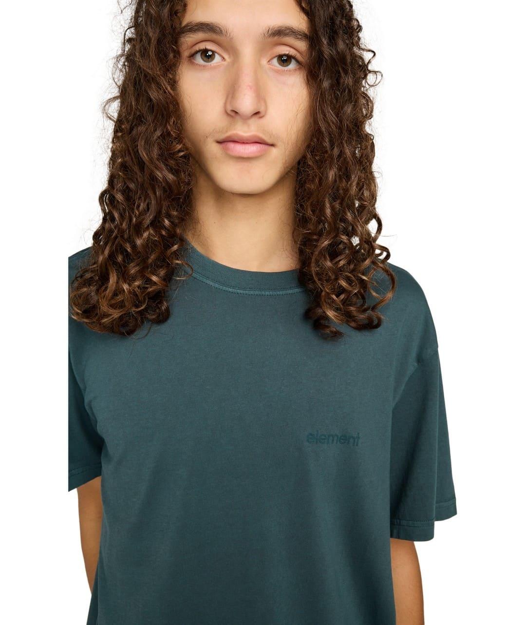 Camiseta Element Lowcase Pigment Hombre