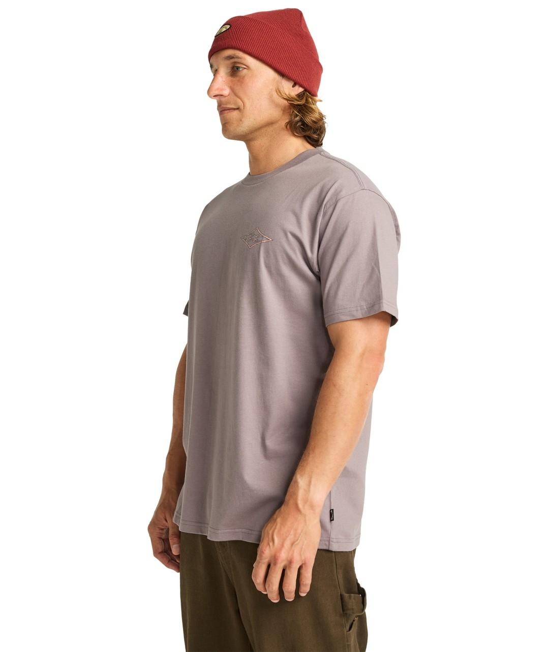 Camiseta Billabong Crayon Wave Ss Hombre