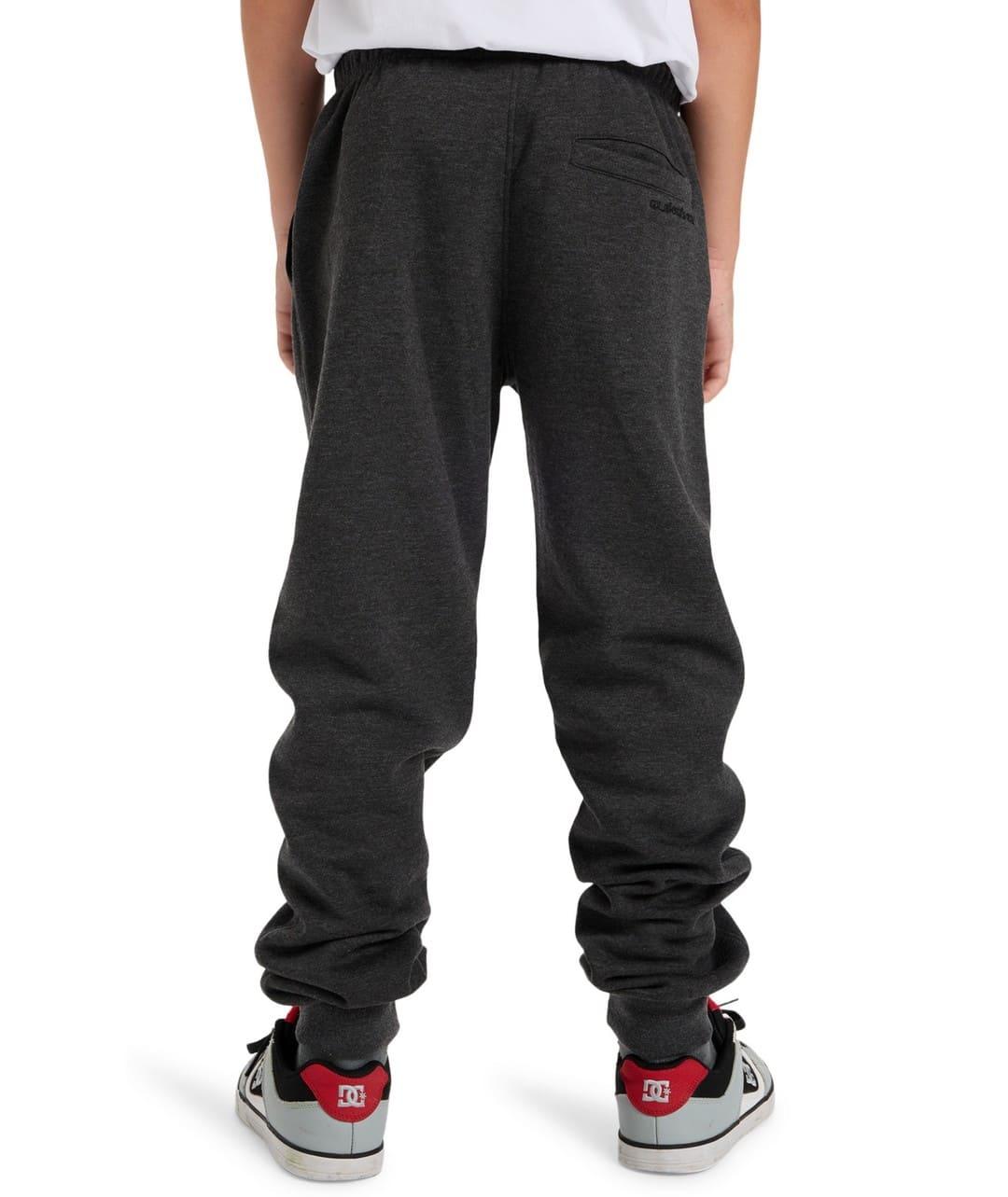 Pantalon Quicksilver Slim Jogger Niño