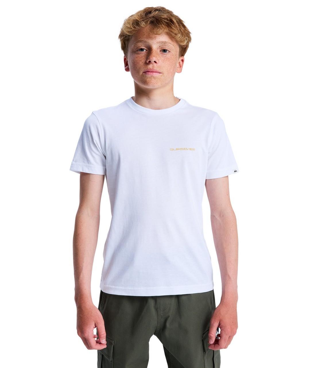 Camiseta Quicksilver Ev Desert Waves Ss Niño