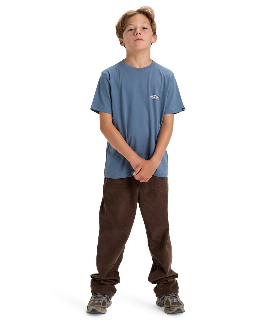 Camiseta Quicksilver Evo Border Line Ss Niño